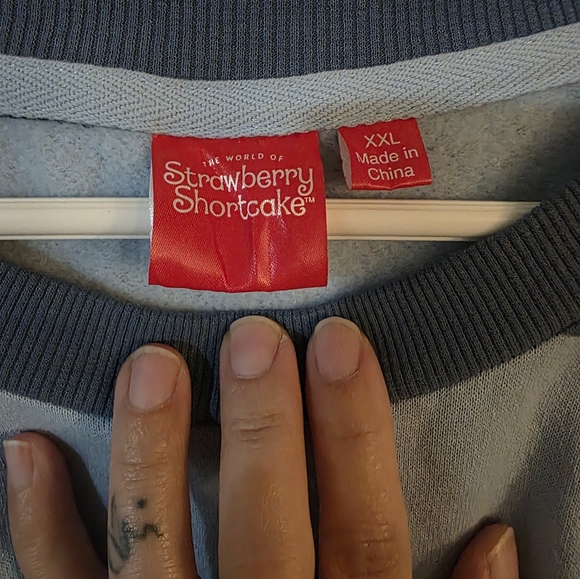 Strawberry Shortcake Blue Striped Cropped Sweatshirt With Bell Sleeves Sz XXL - Picture 4 of 6